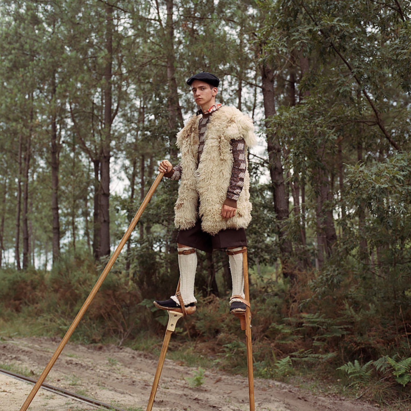 Why did French shepherds walk on stilts until the 20th century?